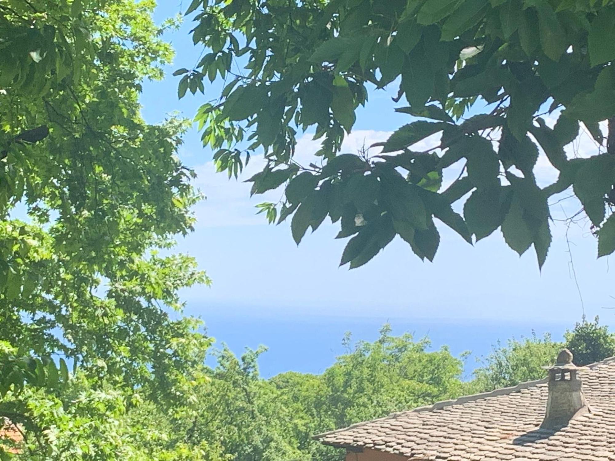 Pelion 7 Lives Villa Tsagarada Exterior photo